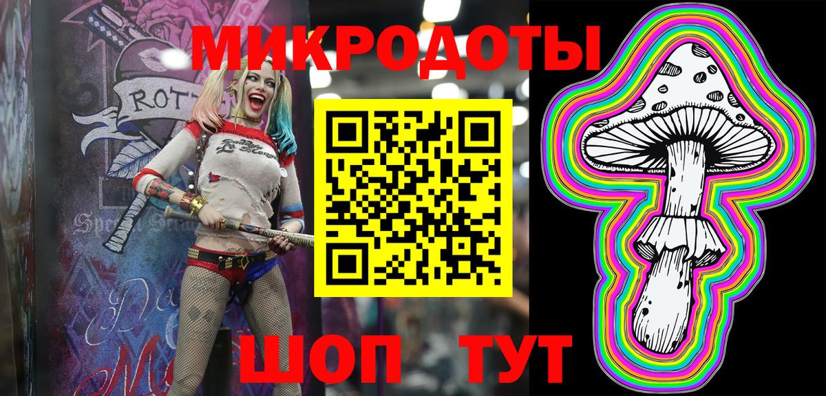 Псилоцибиновые грибы Psilocybe Вольск