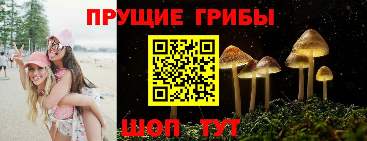 Вольск  наркошоп  Вход с VPN  Псилоцибиновые грибы ЛСД 